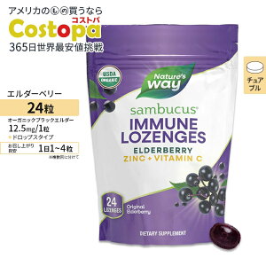 yő2000~OFFN[|zlC`[YEFC hbv G_[x[ 24 Nature's Way Sambucus Elderberry Zinc Lozenges 24Lozenges