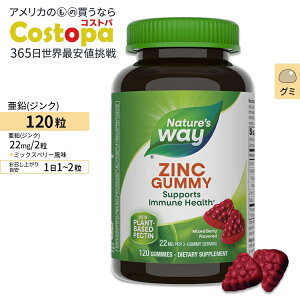yő2000~OFFN[|zlC`[YEFC O~ 11mg ~bNXx[ 120 Nature's Way Zinc Gummies Gummy Ages 9+ Mixd-Berry Flavored WN K{~l fBtFXT|[g