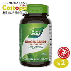 yő2000~OFFN[|z[2Zbg]lC`[YEFC iCAVA~h 500mg 100 JvZ Nature's Way Niacinamide mtbVO e N r^~B-3