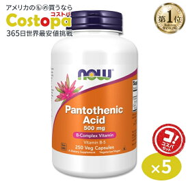 [5個セット]ナウフーズ パントテン酸 500mg 250粒 ベジカプセル NOW Foods Pantothenic Acid Veg Capsules ビタミンB5 水溶性ビタミン エネルギー 美容サポート ダイエットサポート