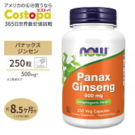 【ポイントUP&クーポン★4日15時-12日9時】パナックスジンセン（朝鮮人参） 500mg 250粒 NOW Foods(ナウ…