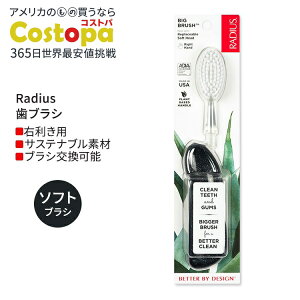 ���f�B�E�X �r�b�O �u���V �E��p �~�b�h�i�C�g�X�J�C Radius Big Brush Right Hand Midnight Sky ���u���V �\�t�g�� �E�����p