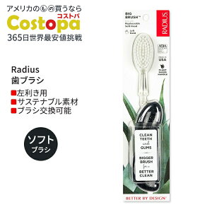 ���f�B�E�X �r�b�O �u���V ����p �~�b�h�i�C�g�X�J�C Radius Big Brush Left Hand Midnight Sky ���u���V �\�t�g�� �������p �u���b�N ��
