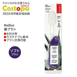 ���f�B�E�X �r�b�O �u���V ����p �p�[�v���M�����N�V�[ Radius Big Brush Left Hand Purple Galaxy ���u���V �\�t�g�� �������p �p�[�v�� ��