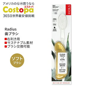 ���f�B�E�X �r�b�O �u���V �E��p �S�[���h�T�e�� Radius Big Brush Right Hand Gold Satin ���u���V �\�t�g�� �E�����p