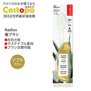 ���f�B�E�X �r�b�O �u���V ����p �S�[���h�T�e�� Radius Big Brush Left Hand Gold Satin ���u���V �\�t�g�� �������p