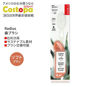 ���f�B�E�X �r�b�O �u���V �E��p �V�[�V�F���R�[���� Radius Big Brush Right Hand Seashell Coral ���u���V �\�t�g�� �E�����p
