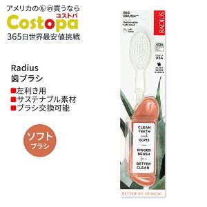 ���f�B�E�X �r�b�O �u���V ����p �V�[�V�F���R�[���� Radius Big Brush Left Hand Seashell Coral ���u���V �\�t�g�� �������p