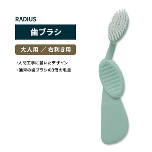 ���f�B�E�X �t���b�N�X�u���V ���u���V �~���g RADIUS Flex Brush Right Mint �E���� ���݂��� �n�u���V �A���R�� ���ɗD���� �Đ��S�� �t���b�N�X�l�b�N