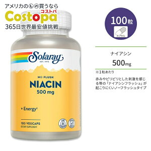 �\�����[ �m�[�t���b�V�� �i�C�A�V�� 500mg �x�W�^�u���J�v�Z�� 100�� Solaray Niacin, No Flush 500mg �r�^�~��B3