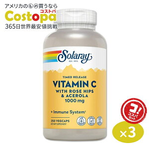 [3�Z�b�g]�\�����[ �r�^�~��C ���[�Y�q�b�v&�A�Z���� �T�v�������g 1000mg 250�� Solaray Vitamin C with Rose Hips & Acerola 2�i�K�^�C�������[�X�^