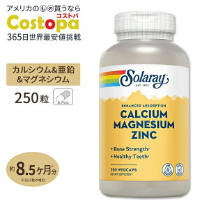 yő2000~OFFN[|z\[ JVE }OlVE  xW^uJvZ 250 Solaray Calcium Magnesium Zinc_CGbg NTv