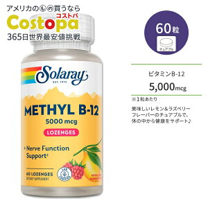 �\�����[ ���`�� �r�^�~�� B-12 5000mcg 60�� �`���A�u�� ���������Y�x���[�t���[�o�[ Solaray Methyl B-12 Lemon-Raspberry 60 Lozenges �T�v�������g �r�^�~��B B12 ������ ���Y�x���[ ��������