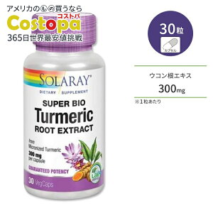 yő2000~OFFN[|z\[ X[p[oCI ^[bN 300mg 30 xWJvZ Solaray super Bio Turmeric Tvg ERGLX NN~