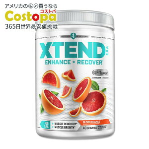 �G�N�X�e���h EAA �u���b�h�I�����W�� 40�� XTEND Blood Orange �K�{�A�~�m�_ �؃g�� �g���[�j���O �_�C�G�b�g �p�E�_�[
