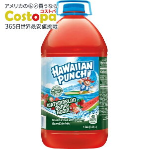 yő2000~OFFN[|zyAJEH}[giznCAp` EH[^[x[u[W[X 1K{g Hawaiian Punch Watermelon Berry Boom Juice, 1 Gal, Bottle y񂹏i