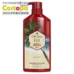 yő2000~OFFN[|zyAJEH}[gizI[hXpCX 2in1 Y Vv[RfBVi[ tBW[ 22 IX Old Spice 2in1 Mens Shampoo and Conditioner Fiji 22 fl oz y