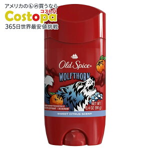 yő2000~OFFN[|zyAJEH}[gizI[hXpCX jpfIhg Et\[ 3.4IX Old Spice Antiperspirant Deodorant for Men Wolfthorn 3.4 oz y񂹏izy