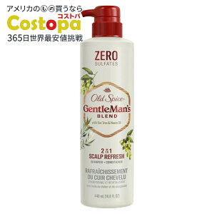 yAJEH}[gizI[hXpCX WFg}Yuh 2in1 XJvtbV Vv[RfBVi[ 14.8IX Old Spice Gentleman's Blend 2in1 Shampoo and Conditioner 14.8 