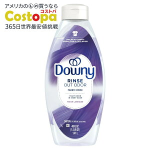 yAJEH}[giz_Ej[ t@ubNX h[L܁E_ tbVx_[̍ 48tʃIX Downy Fabric Rinse Laundry Odor Remover and Softener Fresh Lavender Scent 48 fl o