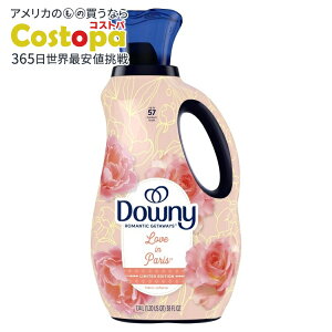 yAJEH}[giz_Ej[ }eBbN Qb^EFCY t̏_ uECEp̍ 38tʃIX 57 Downy Romantic Getaways Liquid Fabric Softener Love in Paris Scent 38 fl oz 57 Load