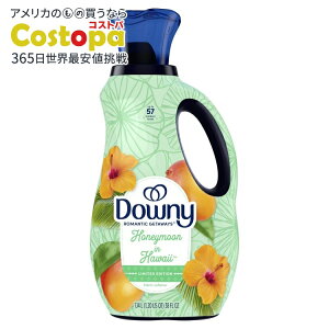 yAJEH}[giz_Ej[ }eBbN Qb^EFCY t̏_ nl[ECEnC̍ 38IX 57 Downy Romantic Getaways Liquid Fabric Softener Honeymoon in Hawaii Scent 38 f