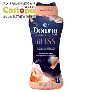 yAJEH}[giz_Ej[Ct[W uX h[Zgu[X^[r[Y Ao[[Y̍ 24IX Downy Infusions Bliss Laundry Scent Booster Beads Amber and Rose Scent 24 o