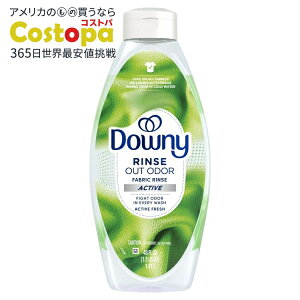 yAJEH}[giz_Ej[ t@ubNX h[L܁E_ ANeButbV̍ 48tʃIX Downy Fabric Rinse Laundry Odor Remover and Softener Active Fresh Scent 48 fl oz 