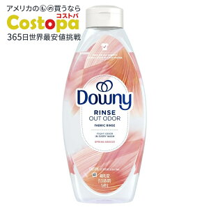 yAJEH}[giz_Ej[ t@ubNX h[L܁E_ XvOu[Y̍ 48tʃIX Downy Fabric Rinse Laundry Odor Remover and Softener Spring Breeze Scent 48 fl oz 