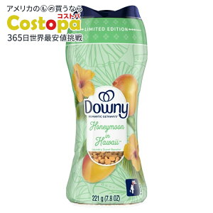 yAJEH}[giz_Ej[ }eBbN Qb^EFCY h[ Zgu[X^[r[Y nl[ C nC̍ 7.8IX Downy Romantic Laundry Scent Booster Beads Honeymoon in