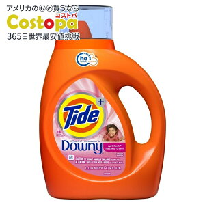 yAJEH}[giz^Ch vX A^b`Iu_Ej[ t̐ GCvtbV̍ 1.0L 24 Tide Plus a Touch of Downy Liquid Laundry Detergent, April Fresh Scent, 24 Loads, 34 fl oz 