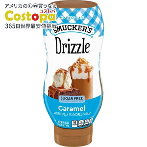 �y�|�C���gUP��15��20��-31���z�X�}�b�J�[�Y �h���Y�� �V���K�[�t���[ �L���������V���b�v 546g �X�N�C�[�Y�{�g�� Smucker�fs Drizzle Sugar Free Caramel Syrup, 19.25 oz Squeeze Bottle �y�����񂹏��i�z