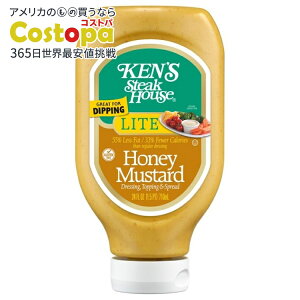 �P���Y�X�e�[�L�n�E�X ���C�g �n�j�[�}�X�^�[�h �T���_�h���b�V���O 710mL Ken's Steak House Lite Honey Mustard Salad Dressing 24 fl oz �y�����񂹏��i�z
