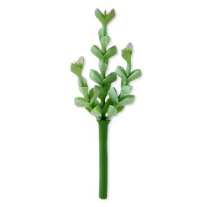 �y�E�H���}�[�g�u�����h�z���C���X�e�C�Y �l�H�����s�b�N �~�j�u�����` �O���[�� Mainstays Artificial Succulent Pick Mini Branched Green �y�����񂹏��i�z