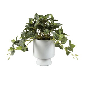 �l�H�g���[�����O���[�t�v�����g �Z���~�b�N�|�b�g ��23cm Artificial Trailing Leaf Plant in Ceramic Pot, 9 in H x 7.5 in W x 7.5 in D �y�����񂹏��i�z
