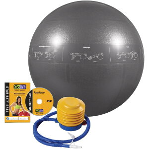 �S�[�t�B�b�g �v���O���[�h �X�^�r���e�B�K�C�h�{�[�� 75cm �|���v�t�� �V���o�[ GoFit Pro Grade 75 cm Stability Guide Ball with Pump, Silver, GF-75PRO �y�����񂹏��i�z