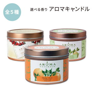 yő2000~OFFN[|zA}i`Y \CLh gїp S5 Aroma Naturals Soy VegePure Travel Tin Candle Lh A