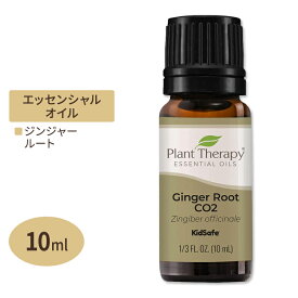 プラントセラピー 100%ピュア エッセンシャルオイル ジンジャー 10ml (1 / 3fl oz) Plant Therapy Ginger Root CO2 Essential Oil 100% Pure 精油 天然 アロマ