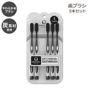 yő2000~OFFN[|zf^GLXp[g@Y uV lp \tg 5{Zbg Dental Expert Charcoal Toothbrush