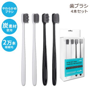 yő2000~OFFN[|zMg Y uV lp GNXg \tg 4{Zbg Lingito Extra Soft Charcoal Toothbrushes