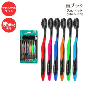 yő2000~OFFN[|zf^`FbN Y uV lp \tg zCgjO 12{Zbg Dental Check 12 Pack Toothbrush, Ultra-Soft Bristles for Dental Care