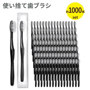 yő2000~OFFN[|zeXR ĝĎuV ʕ _炩 ubN 1000{Zbg Tessco Disposable Toothbrushes Individually Wrapped Soft Bristle  s o ItBX