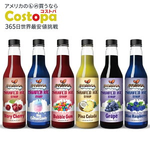 yő2000~OFFN[|zVrA XVbv T}[~bNX 6{Zbg oGeBpbN Syruvia Snow Cone Syrup 12.7oz y񂹏izy킹Ĕz