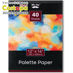 yAJtFAz~X^[y pbgy[p[ yCgpbh 30.48cmx40.64cm 40 Mr. Pen- Palette Paper Paint Pad, 12x16, 40 Sheetsy񂹏izy킹Ĕz