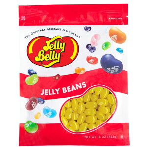 �y�I�ׂ�t���[�o�[�z�W�F���[�x���[ �W�F���[�r�[���Y 453g �I�ׂ�23�̃t���[�o�[ Jelly Belly Jelly Beans - 1 Pound (16 Ounces) Resealable Bag �y�����񂹏��i�z�y���킹�Ĕ��������z