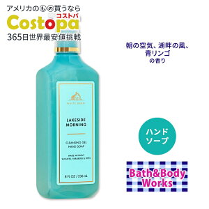 yő2000~OFFN[|zoX&{fB[NX nh\[v CNTCh [jO 236ml (8 fl oz) Bath&Body Works Hand Soap Lakeside Morning