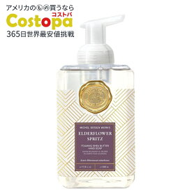 ミッシェルデザインワークス 泡ハンドソープ エルダーフラワースプリッツ 530ml Michel Design Works Foaming Hand Soap, Elderflower Spritz 17.8 Fl Oz 【お取り寄せ商品】