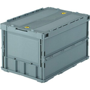 gXRR(TRUSCO) ^܂肽݃Rei 50LbNt^t O[ TR-C50B-GY × 2 [P[X [{bNX yP[X̔z