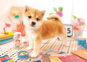 G|bN 108s[X WO\[pY /ybg  ڂ! (18.2×25.7cm) 01-065 ̂t wt _t EPOCH