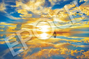 G|bN 1000s[X WO\[pY COi ~XeBbNr[ F̃Ej (50×75cm) 09-017s ̂t wt _t EPOCH